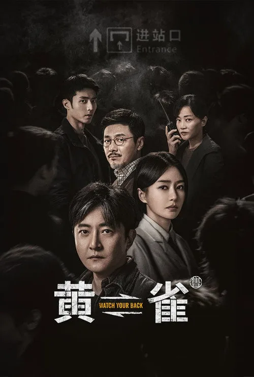 电视剧《黄雀》海报