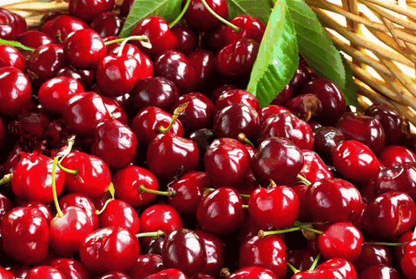 222222.gif 222222.gif