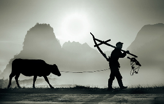 圖片1~1.png 圖(tú)片1~1.png