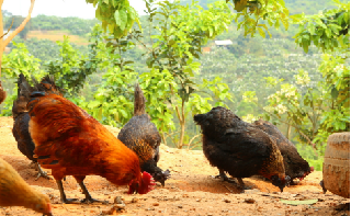 圖片(piàn)3~1.png 圖(tú)片3~1.png