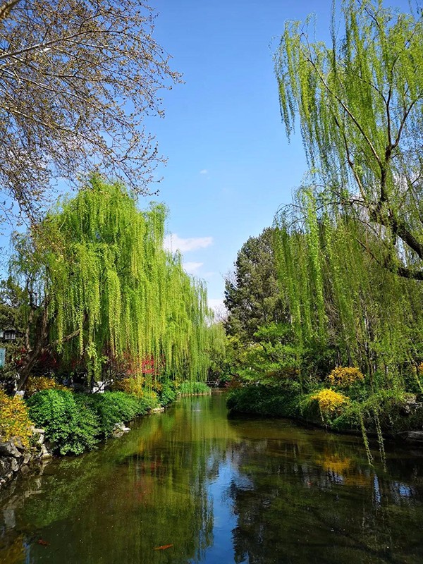 二(èr)等春色 小.jpg 二等春色 小.jpg